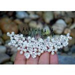 Ozdobná stříbrná spona hřeben perličky broušené sklo – Hledejceny.cz