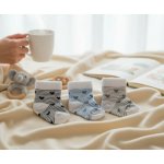 Kojenecké ponožky 3 kusy srdíčka kluk – Hledejceny.cz