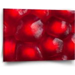 Sablio Obraz Granátové jablko - 120x80 cm – Hledejceny.cz
