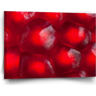 Sablio Obraz Granátové jablko - 120x80 cm – Hledejceny.cz