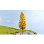 Noch podzimní modřín 20169 – Zboží Dáma