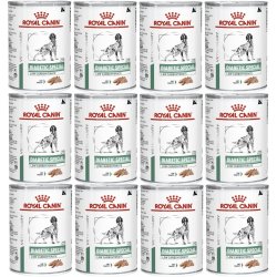 Royal Canin Veterinary Diet Adult Dog Diabetic Special 12 x 410 g