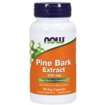 Now Foods Foods Pine Bark Extract 240 mg 90 kapslí – Hledejceny.cz
