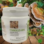 MRL Coriolus Versicolor Outkovka pestrá 90 tablet – Hledejceny.cz