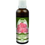 Naděje Lesklokorka 50 ml tinktura z bylin – Hledejceny.cz