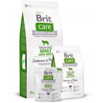 Brit Care Grain-free Adult Large Breed Salmon & Potato 1 kg – Hledejceny.cz