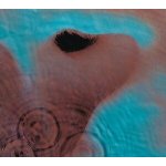 Meddle - Pink Floyd LP – Hledejceny.cz