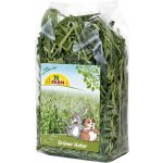 JR Farm Zelený oves 100 g – Zboží Mobilmania