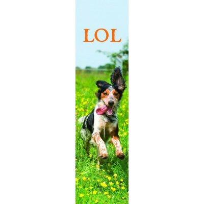 Záložka - LOL – Hledejceny.cz