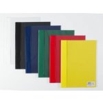 Rychlovazač A4 PVC s kapsou assort – Zboží Živě