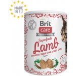 Brit Care Cat Snack Superfruits Lamb 100 g – Hledejceny.cz