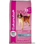 Eukanuba Adult Large Breed Weight Control 2 x 15 kg – Zboží Mobilmania