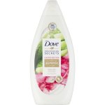 Dove Soothing Summer Ritual Aloe Vera a Voda z růží sprchový gel 500 ml – Zbozi.Blesk.cz