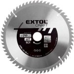 EXTOL CRAFT kotouč pilový s SK plátky, 300x2,0x30mm, 19116 – Zboží Mobilmania