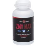 Czech Virus ZMA Max 100 kapslí – Zboží Mobilmania