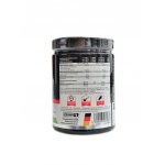 Best Body nutrition Professional isotonic powder 600 g – Sleviste.cz