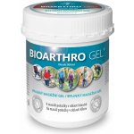 Biomedica Bioarthro masážní gel 300 ml – Zboží Mobilmania