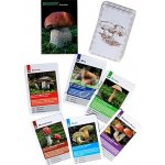 Mičánek Kvarteto: Houby – Hledejceny.cz