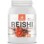 Allnature Reishi 500 mg 100 rostlinných kapslí – Hledejceny.cz