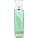 Elizabeth Arden Green Tea tělový závoj 236 ml – Hledejceny.cz