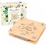 Moulin Roty Dřevěný lis na květiny Le Jardin du Moulin – Hledejceny.cz