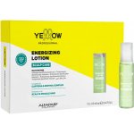 Yellow Professional Scalp Care Energizing Lotion Intenzivní kúra pro vlasy se sklonem k vypadávání 12 x 13 ml – Hledejceny.cz