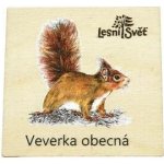 Lesní svět Magnet malý Veverka – Zboží Dáma