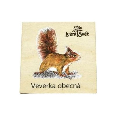 Lesní svět Magnet malý Veverka – Zboží Dáma