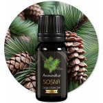 Aromaholik esenciální olej Borovice 10 ml – Hledejceny.cz