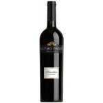 Primitivo SALENTO ULTIMO PASSO IGP 2021 13% 0,75 l (holá láhev) – Hledejceny.cz