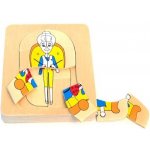 Montessori Životní vývoj muže – Sleviste.cz