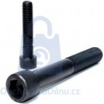 Šroub imbusový s válcovou hlavou, DIN 912-8.8, DO PRŮMĚRU M14, bez úpravy M10 x 80 - hobby balení, balení 1 ks – Zboží Mobilmania