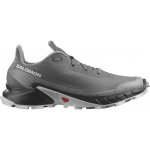 Salomon Alphacross 5 GTX – Zbozi.Blesk.cz