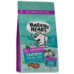 Barking Heads All Hounder Tummy Lovin' Care Fish 2 kg – Hledejceny.cz