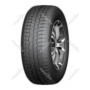 Windforce Catchsnow 225/65 R17 102T