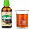 Doplněk stravy Bylinné kapky Lapacho tinktura 50 ml