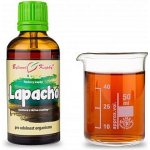 Bylinné kapky Lapacho tinktura 50 ml – Hledejceny.cz