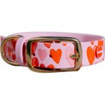 Reedog obojek Biothane – Hledejceny.cz