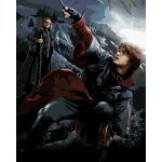 Malování podle čísel Harry Potter a Alastor Moody – Sleviste.cz