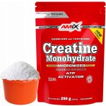 Amix Creatine monohydrate 250 g – Zbozi.Blesk.cz