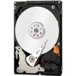 WD Blue 320GB, 3,5", SATAIII, 16MB, 7200rpm, WD3200AAKX – Hledejceny.cz