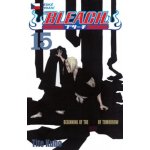 Bleach 15: Beginning of death tomorrow – Hledejceny.cz