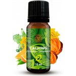 Day Spa Směs esenciálních olejů Calming 10 ml – Hledejceny.cz