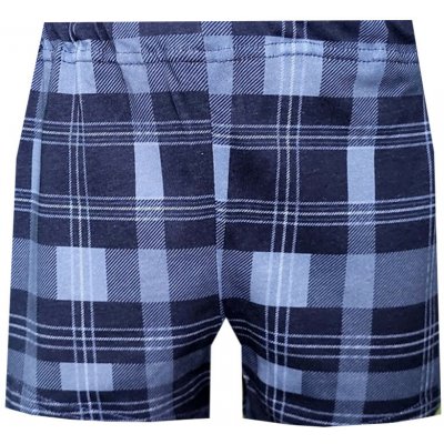 Foltýn dětské trenýrky DT141 – Sleviste.cz