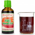 Bylinné kapky Duše rostlin Růže damašská tinktura 50 ml – Hledejceny.cz