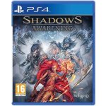 Shadows: Awakening – Zboží Dáma