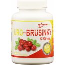 Uro Brusinky 60 tablet