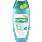 Palmolive Thermal Spa Mineral Massage sprchový gel 250 ml – Zboží Mobilmania