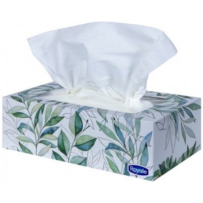 Great Value papírové kapesníčky ROYALE 2-vrstvé 126ks – Zboží Dáma