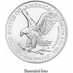 US Mint Stříbrná mince American Silver Eagle 2011 1 oz – Zboží Dáma